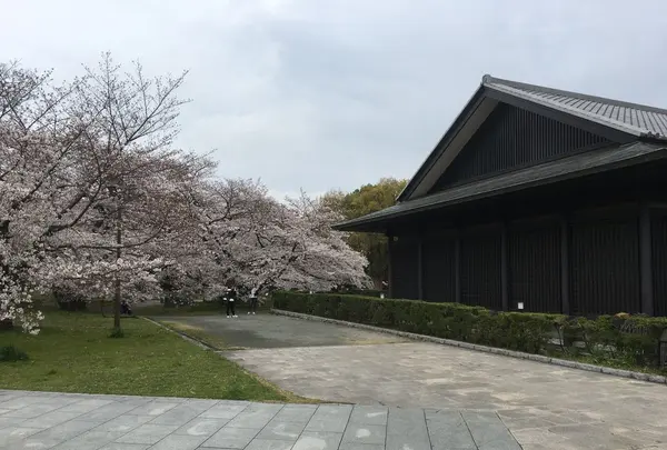 名古屋能楽堂の写真・動画_image_126081