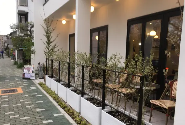 黒川の桜の写真・動画_image_126086