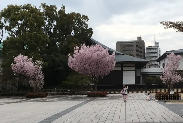 徳川園の写真・動画_image_126088