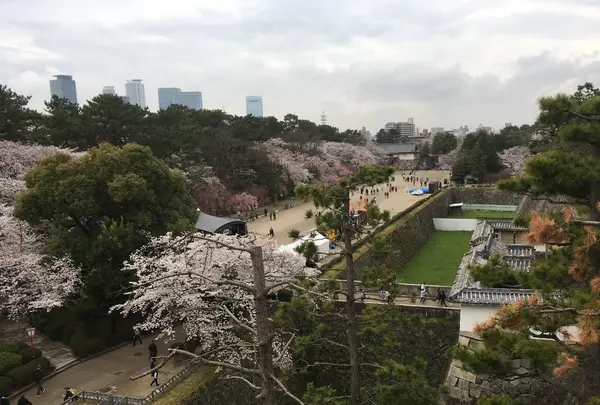 名古屋城の写真・動画_image_126090