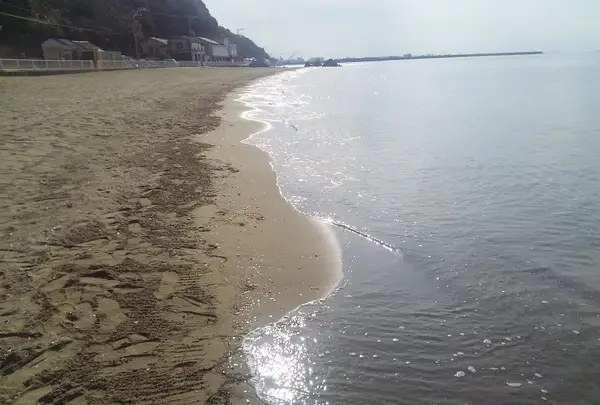 新舞子海水浴場の写真・動画_image_126226