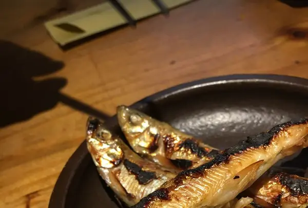 とうがらしの写真・動画_image_126244