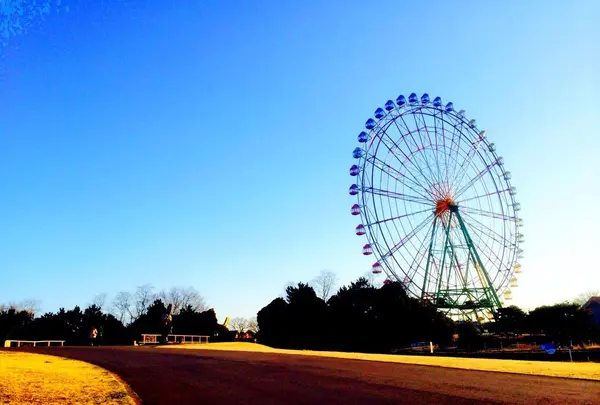 国営ひたち海浜公園の写真・動画_image_126299