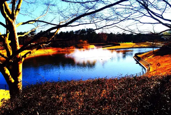 国営ひたち海浜公園の写真・動画_image_126349
