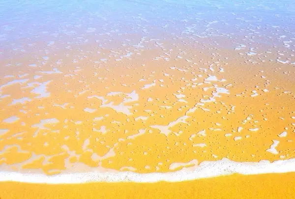 久慈浜海水浴場の写真・動画_image_126412