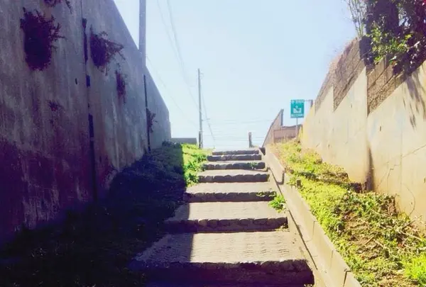 久慈浜海水浴場の写真・動画_image_126414