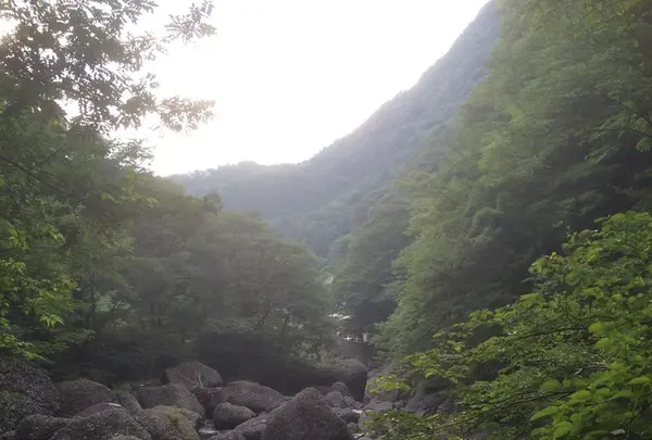 袋田の滝の写真・動画_image_126449