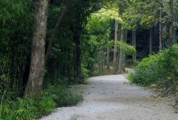 土佐神社の写真・動画_image_126473