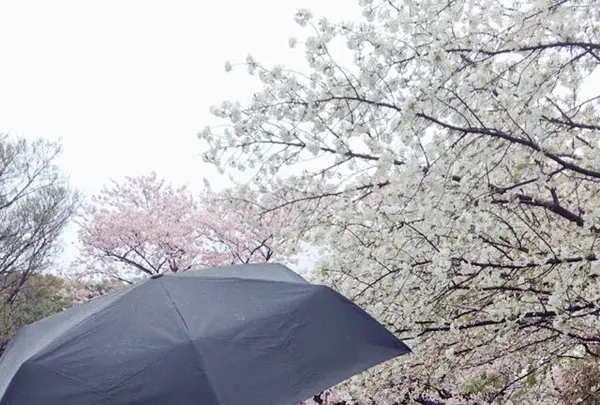 港の見える丘公園の写真・動画_image_126613