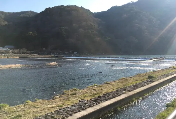 渡月橋の写真・動画_image_126762