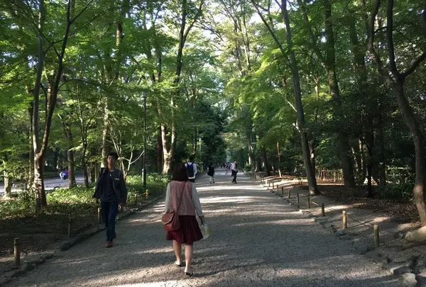 糺ノ森の写真・動画_image_126775