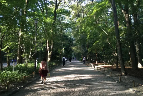 糺ノ森の写真・動画_image_126776