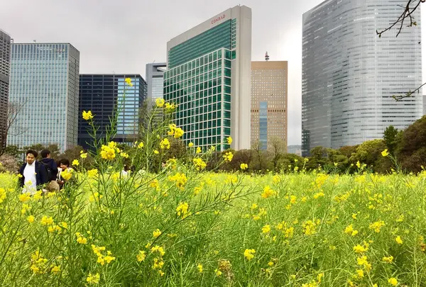 浜離宮恩賜庭園の写真・動画_image_126845