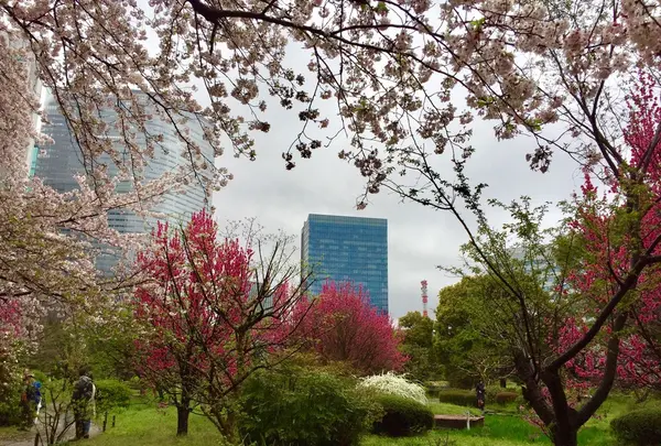 浜離宮恩賜庭園の写真・動画_image_126846