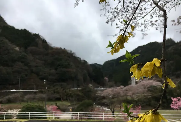 耶馬渓ダムスポーツ公園の写真・動画_image_126957