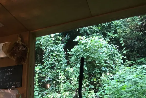 懐水集の写真・動画_image_127170