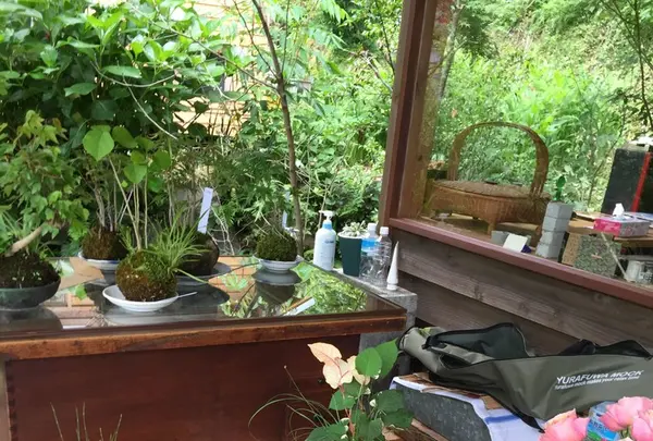 懐水集の写真・動画_image_127171