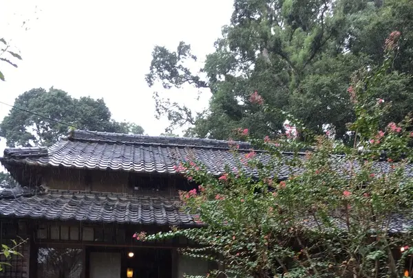 懐水集の写真・動画_image_127175