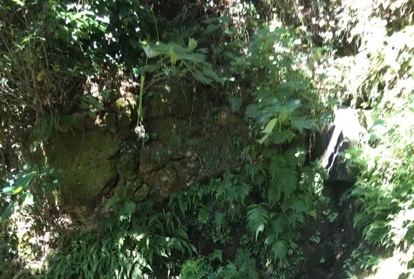 懐水集の写真・動画_image_127178