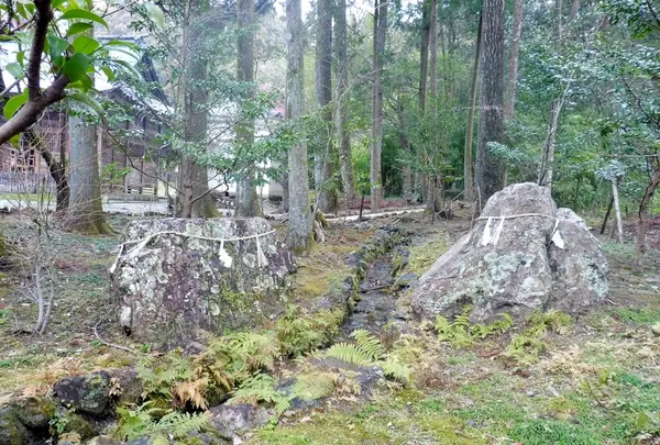 土佐神社の写真・動画_image_127179