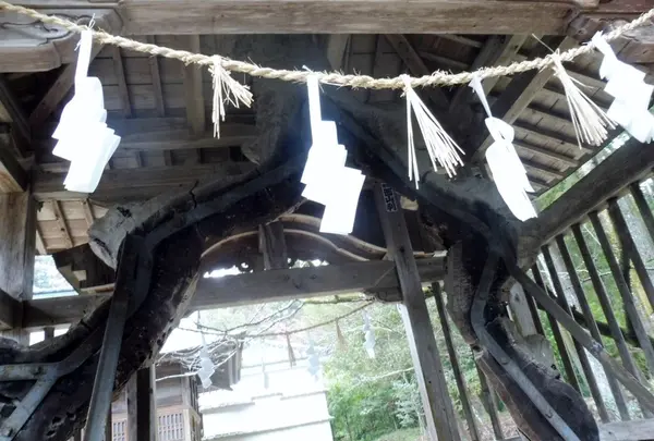 土佐神社の写真・動画_image_127180