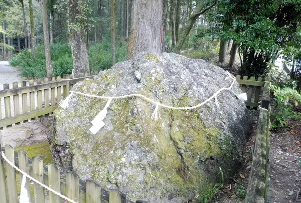 土佐神社の写真・動画_image_127339