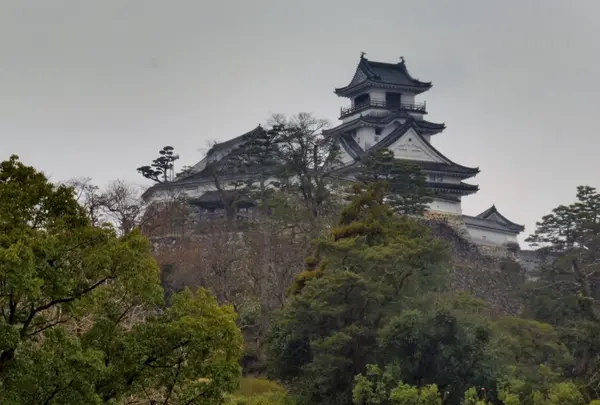 高知県立高知城歴史博物館の写真・動画_image_127347