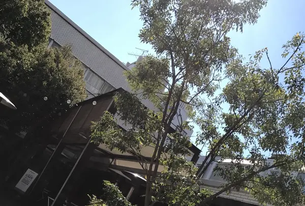 crisscross （クリスクロス）の写真・動画_image_127397