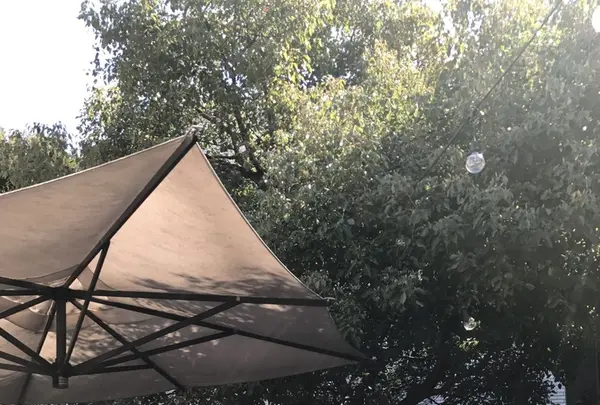 crisscross （クリスクロス）の写真・動画_image_127398