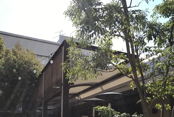 crisscross （クリスクロス）の写真・動画_image_127399