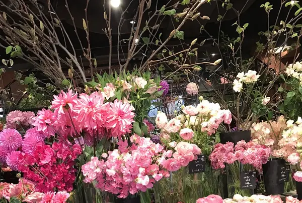 青山フラワーマーケット ティーハウス 南青山本店 （Aoyama Flower Market TEA HOUSE）の写真・動画_image_127423