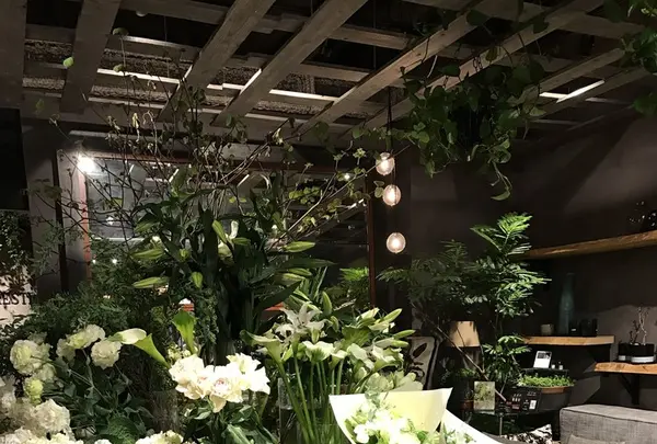 青山フラワーマーケット ティーハウス 南青山本店 （Aoyama Flower Market TEA HOUSE）の写真・動画_image_127425