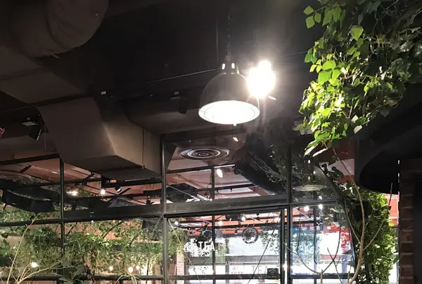 青山フラワーマーケット ティーハウス 南青山本店 （Aoyama Flower Market TEA HOUSE）の写真・動画_image_127426