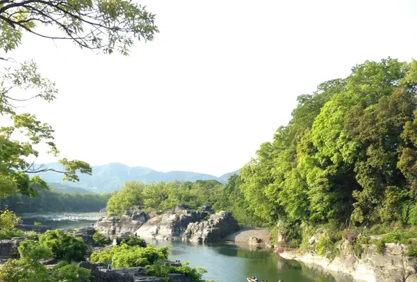 長瀞渓谷（岩畳）の写真・動画_image_127443