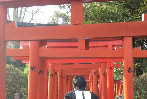 根津神社の写真・動画_image_127447