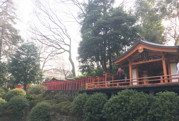 根津神社の写真・動画_image_127448