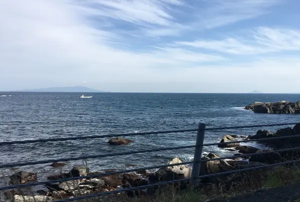 伊豆半島の写真・動画_image_127475