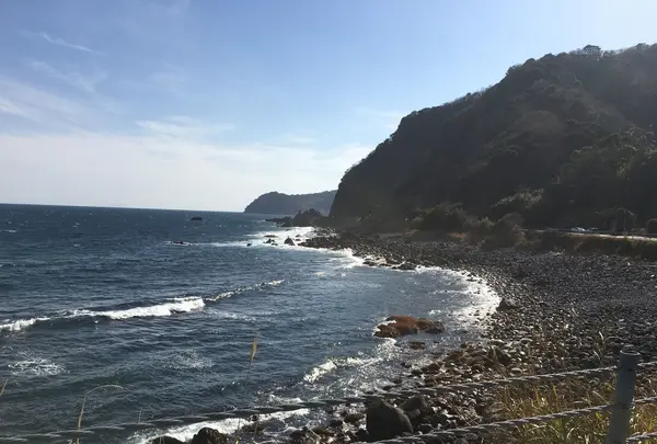 伊豆半島の写真・動画_image_127476