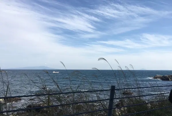 伊豆半島の写真・動画_image_127477