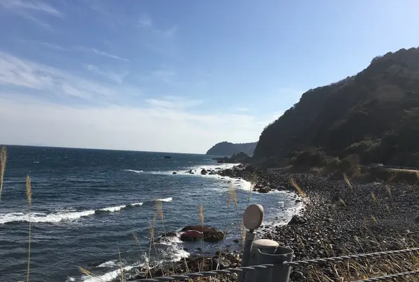 伊豆半島の写真・動画_image_127480