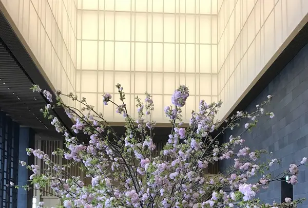 アマン東京の写真・動画_image_127583
