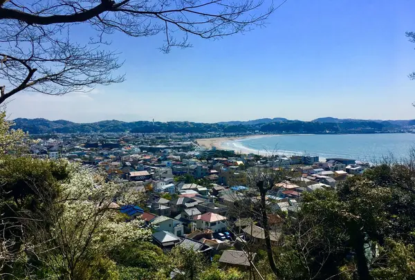 長谷寺の写真・動画_image_127594