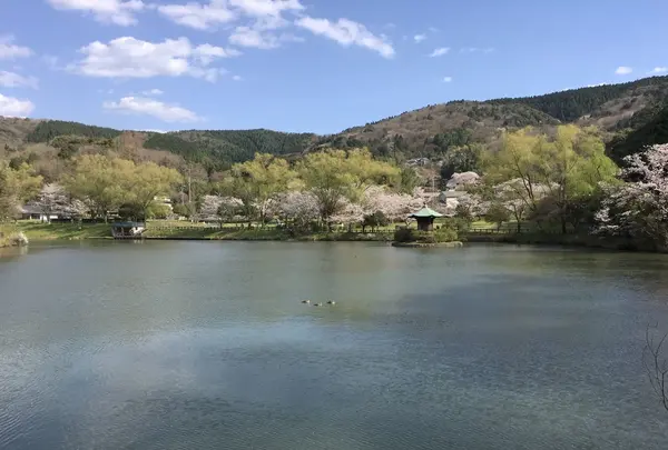 定光寺公園の写真・動画_image_127670
