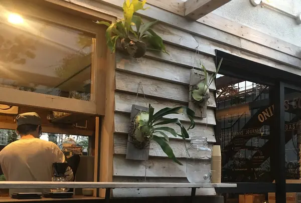 オニバスコーヒー 中目黒店 （ONIBUS COFFEE NAKAMEGURO）の写真・動画_image_127795