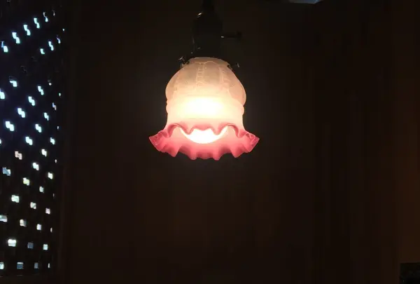 PAVILION（パビリオン）の写真・動画_image_127797