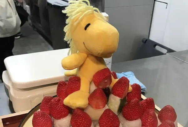 SNOOPY茶屋 京都錦店（スヌーピー茶屋）の写真・動画_image_127897