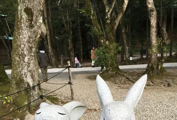 出雲大社の写真・動画_image_127958