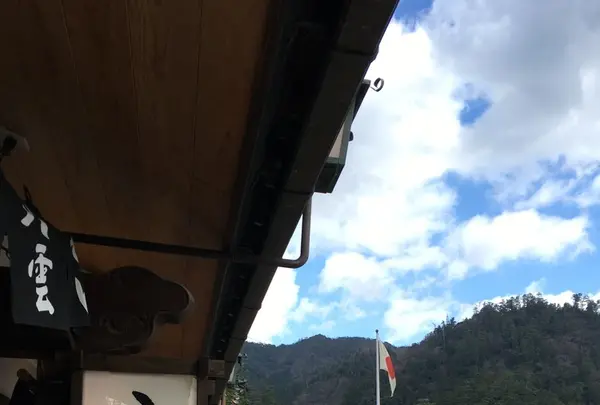 八雲 本店の写真・動画_image_127979