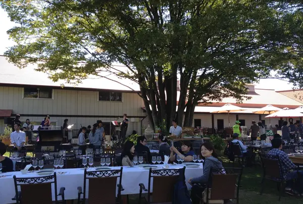 サンクゼール・ワイナリーの写真・動画_image_128002