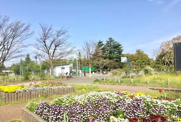 篠崎公園の写真・動画_image_128144